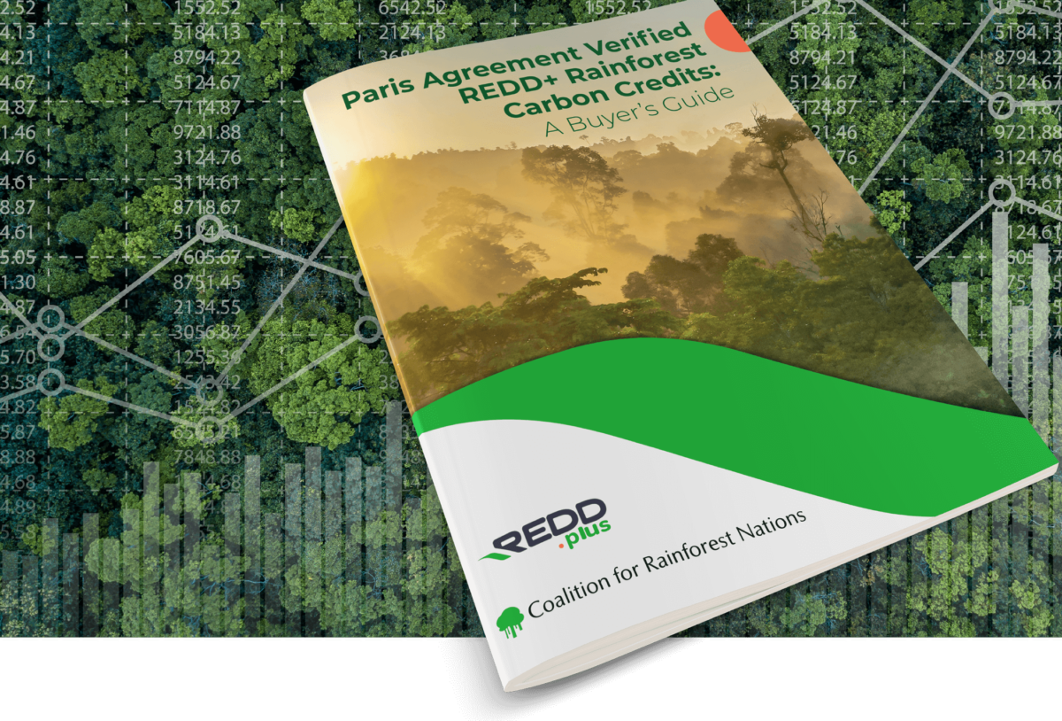 Publication A Buyer’s Guide to Paris Agreement Verified REDD+