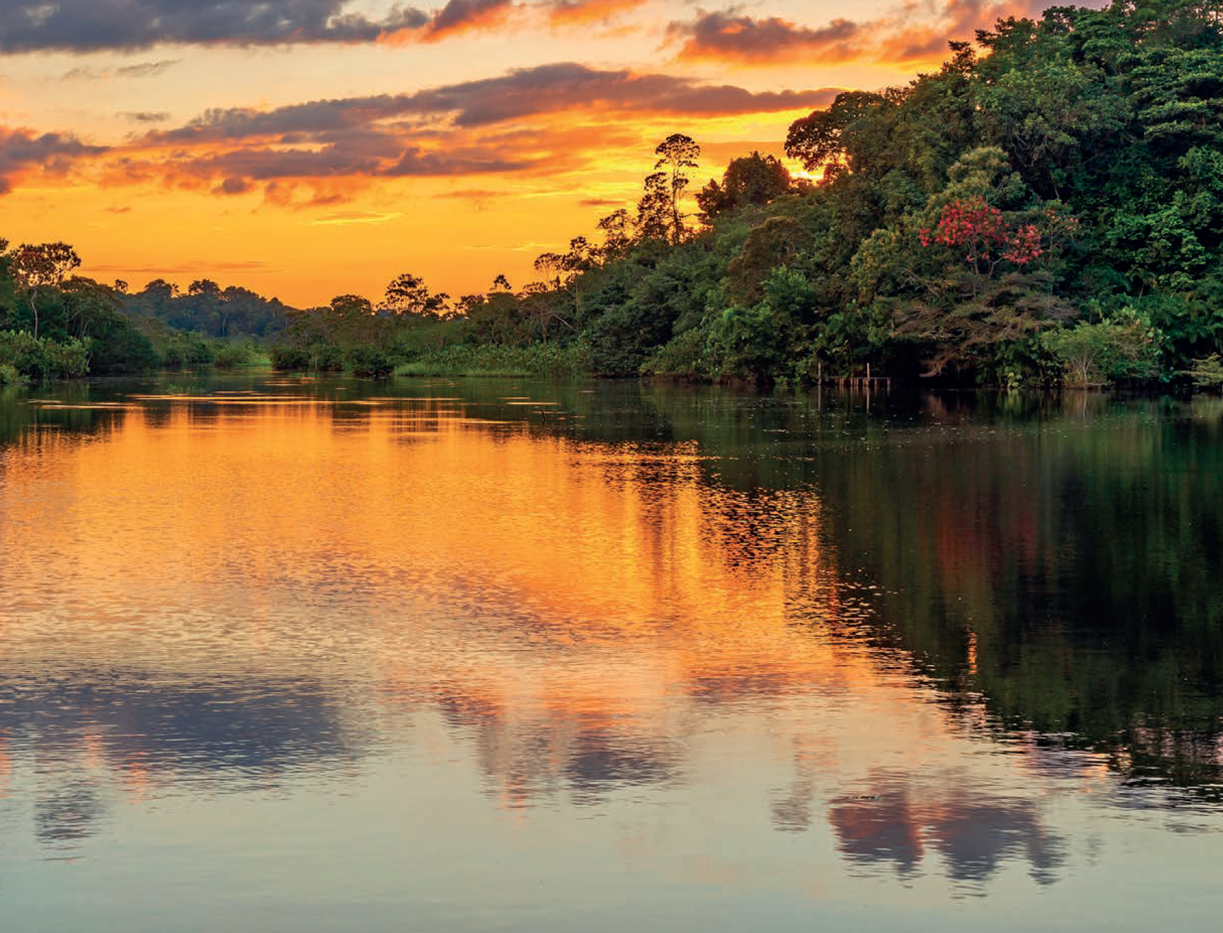 Suriname river